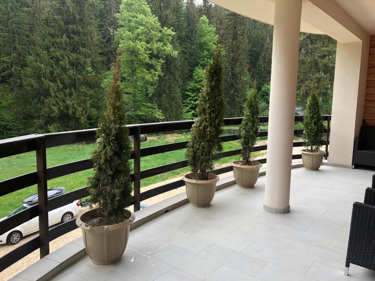 Maya Luxury Residence Poiana Brașov Exterior foto